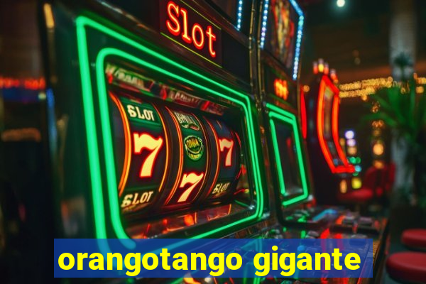 orangotango gigante